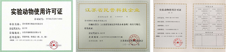 證書.jpg